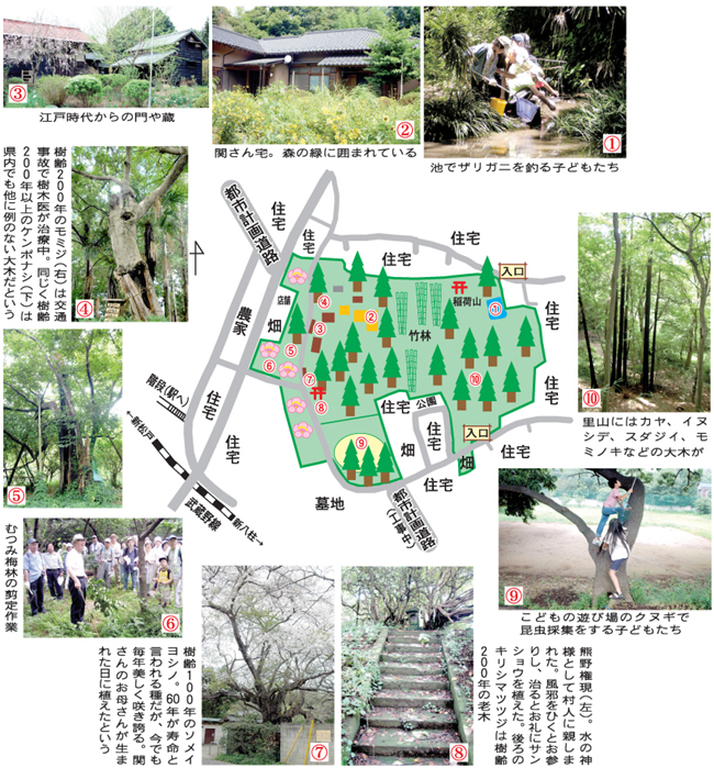 関さんの森の紹介写真