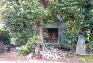 街道には本殿の後ろ側が面していた香取神社