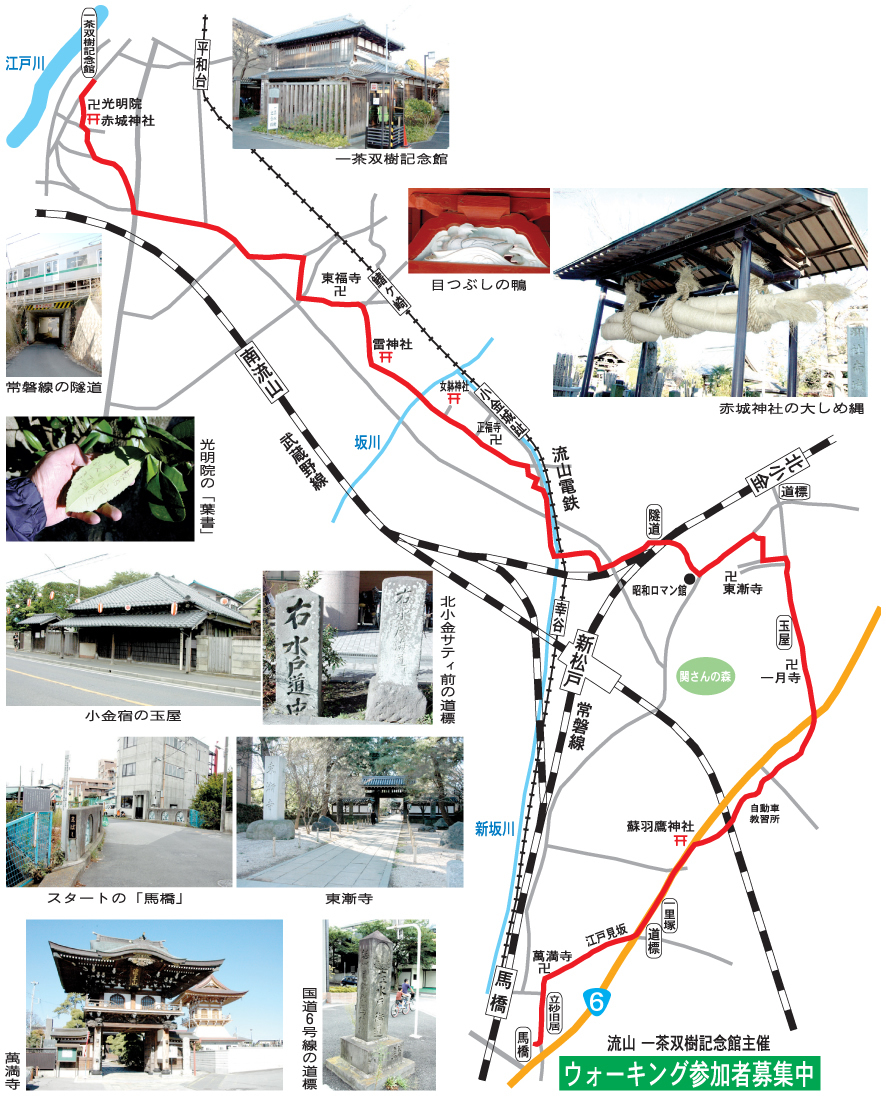 来月10日と15日、馬橋から流山の一茶双樹記念館までの８・５キロを歩く『小林一茶 をたどる「下総葛飾小金道」ウォーキング』というイベントが開催される。江戸時代の俳人・小林一茶は支援者である馬橋の油屋・大川立砂（りゅうさ）と