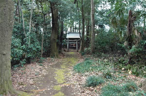 東金野井の三峯神社の写真