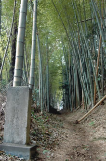 足尾山神社の参道の写真