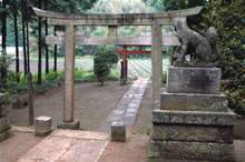 駒形神社と同じ敷地にある稲荷神社の写真