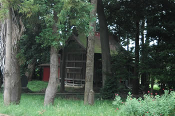木立ちの中にある今井の稲荷神社の写真