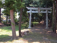 緑が美しい多々羅田の厳島神社の写真